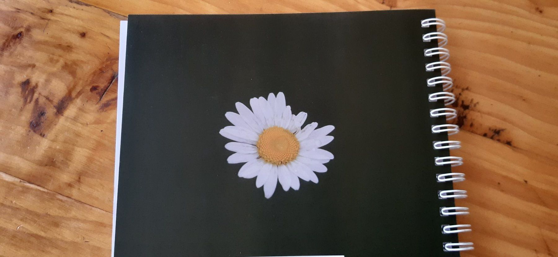 Blocs de correspondance: Notizbuch "Weisse Blüte" – Neuf (Voir description) à Doppleschwand par Sandrafritz 2