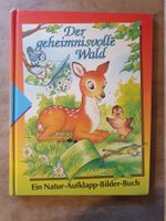 Der geheimnissvolle Wald