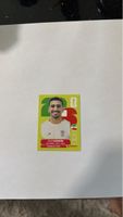 Saleh Hardani IRN 10