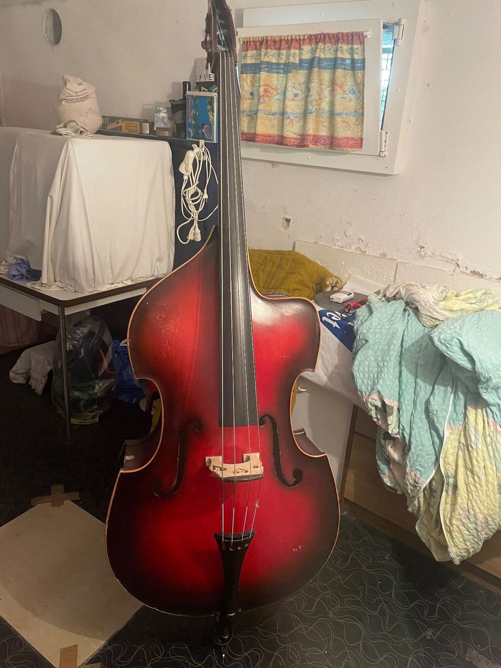 Strumenti musicali: Bass – Usato da Biel/Bienne venduto da Idefix67