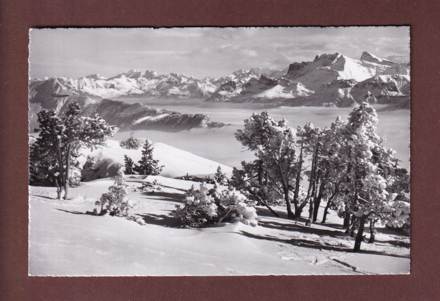 Cartoline postali: NIEDERHORN - Blick gegen Titlis – Usato da Pully venduto da nicecards-shop