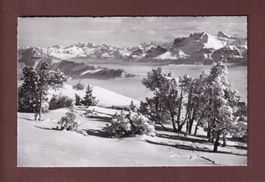 NIEDERHORN - Blick gegen Titlis
