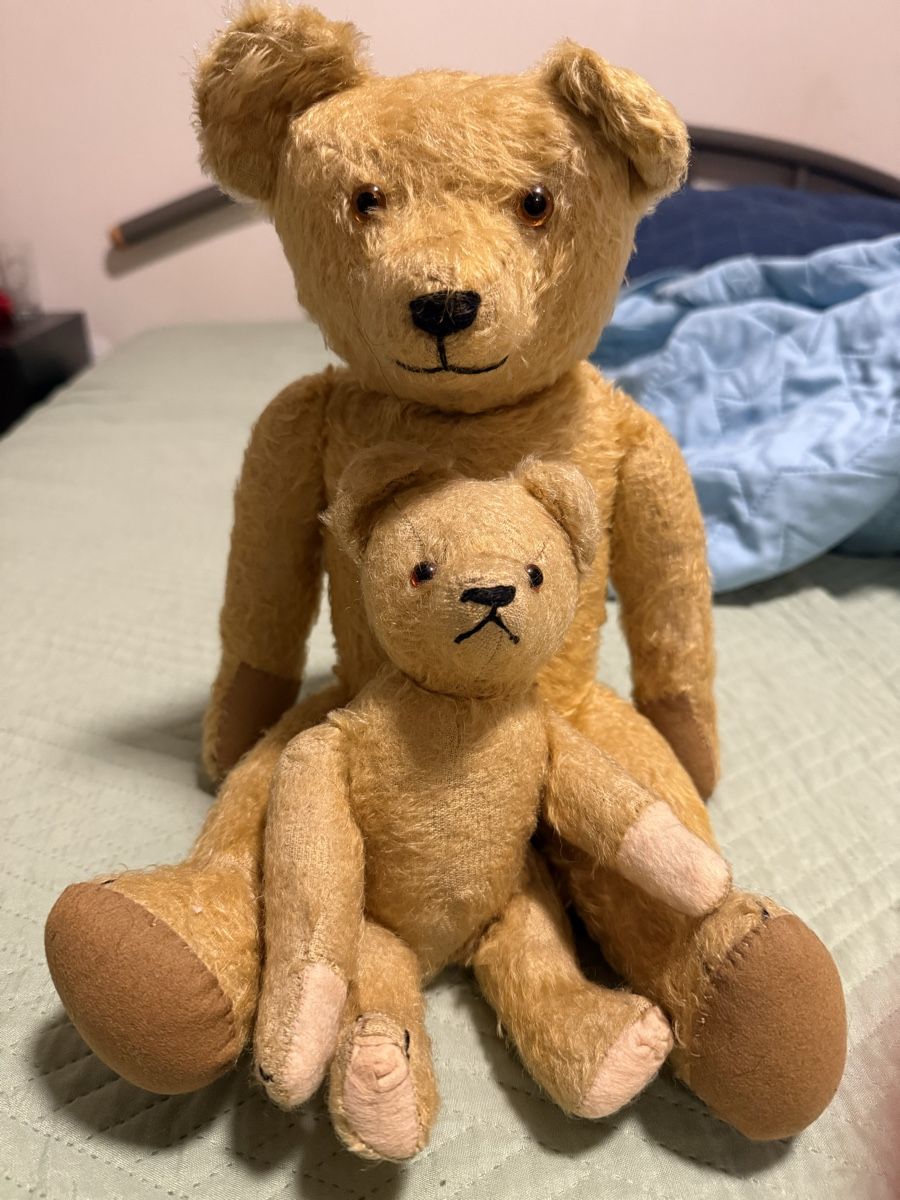 Steiff Bambole: antiken Bären Mohair Petz – Usato da Wattwil venduto da amm_rw6l 5