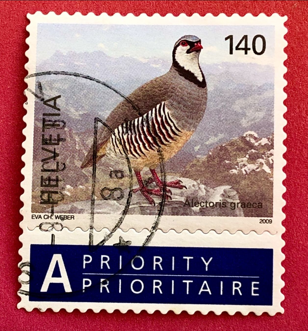 Tutti i francobolli: Nr.1306 Steinhuhn Vögel GESTEMPELT 2009    – Usato da Aarau venduto da Billa007