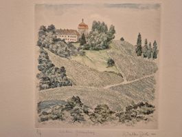 Walter Dick, Radierung, gerahmt, Schloss Goldenberg Zürich