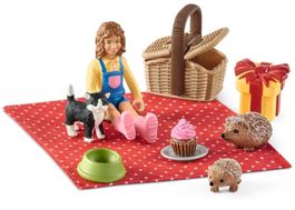 Schleich Geburtstagspicknick