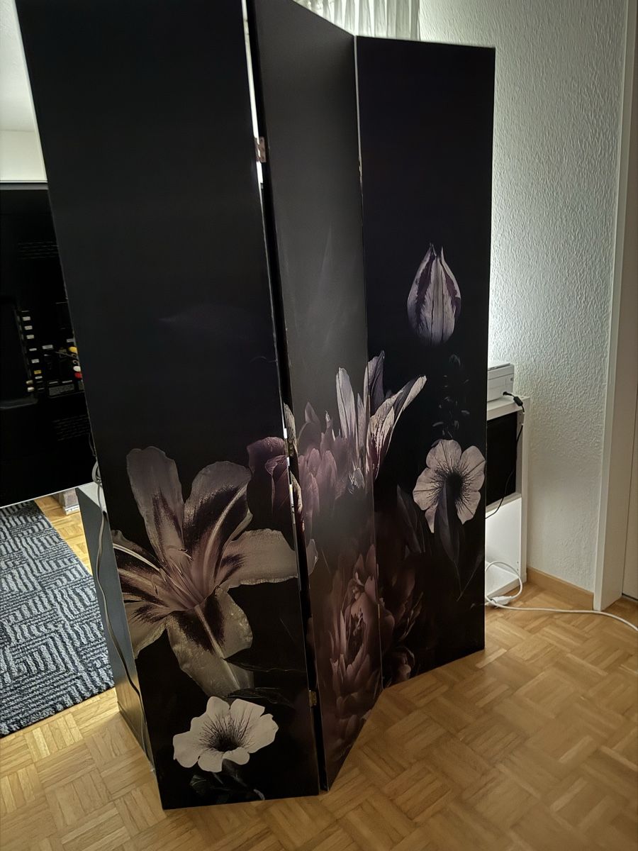 Paravents: Raumtrenner – Neu (gemäss Beschreibung) aus Schaffhausen von Lutka01
