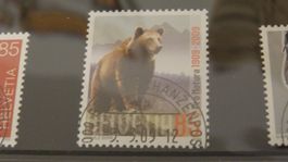 2009 Pro Natura ET SCHANZENPOST