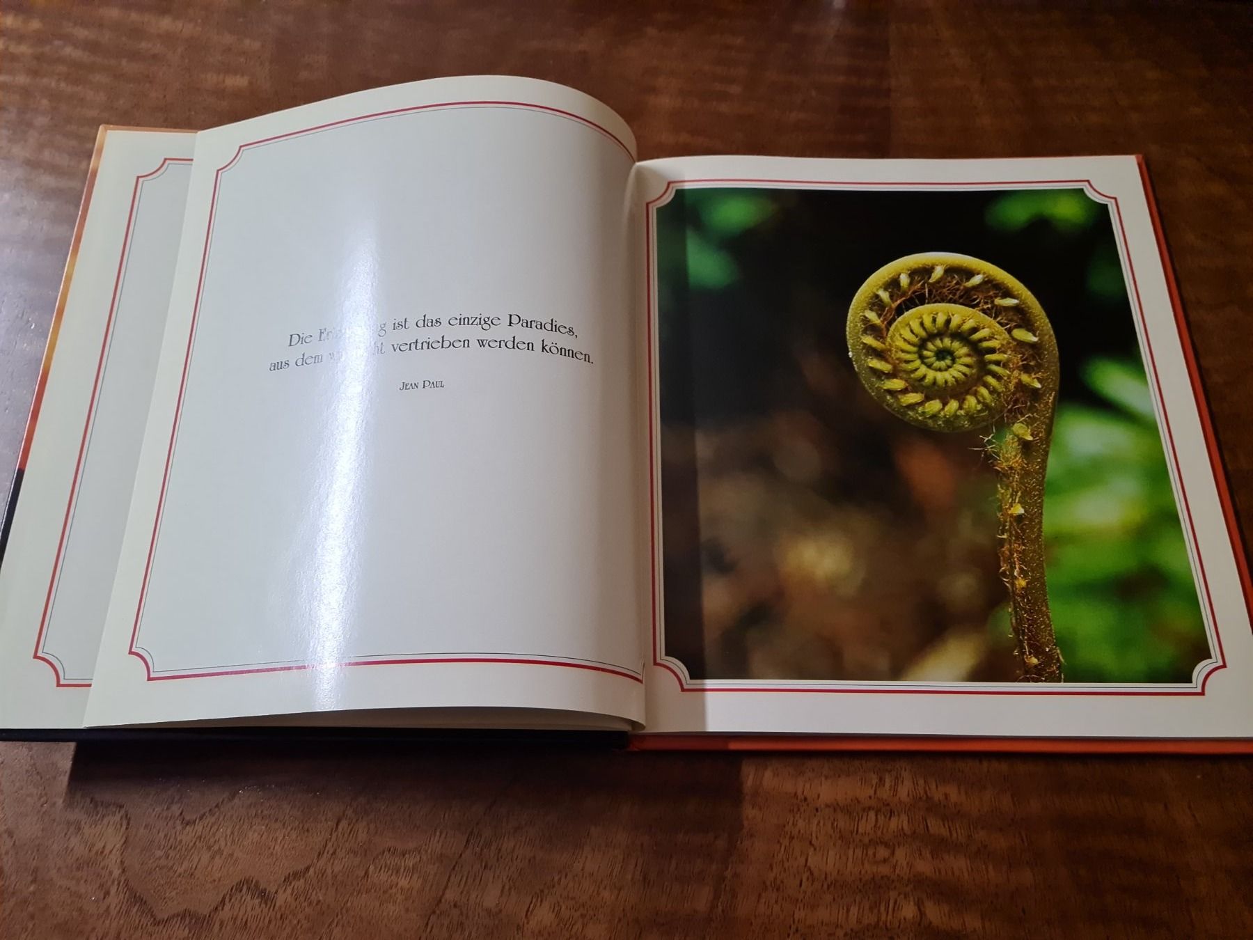 Libri: Gedanken und Bilder "FREUDE" – Usato da Erstfeld venduto da Mario_boe0 2