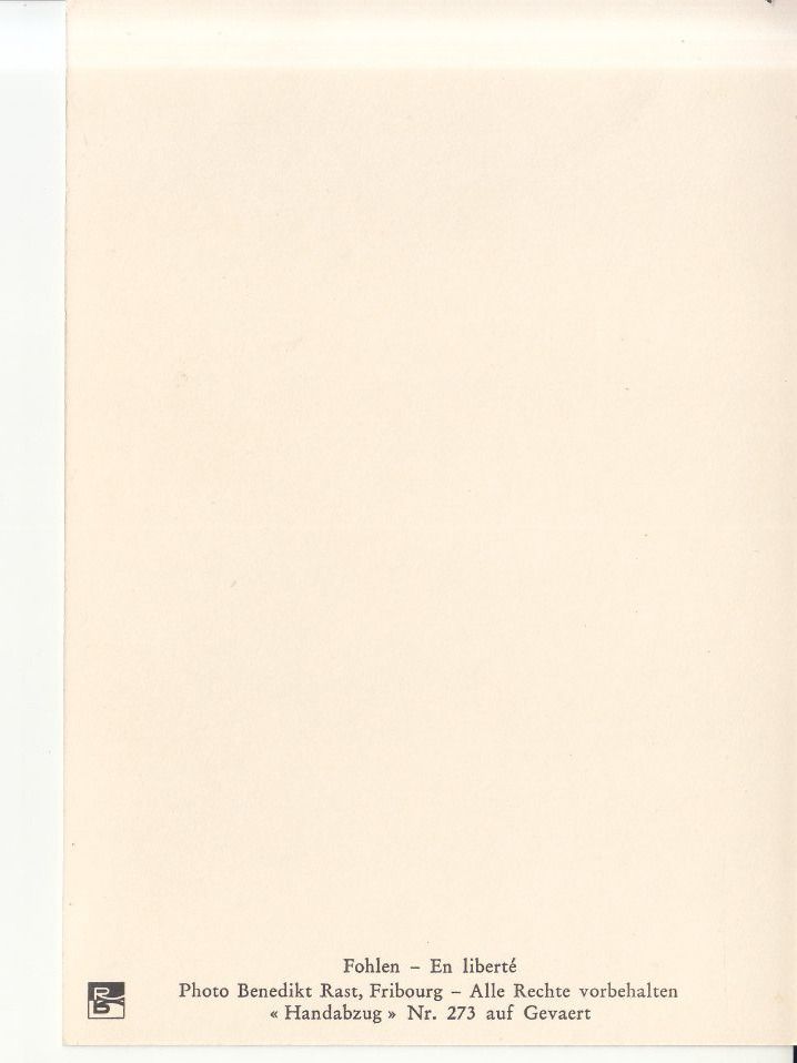 Cartoline postali: Pferde ca. 1950  Handabzug Gevaert – Usato da Bürglen TG venduto da StampGraf 1