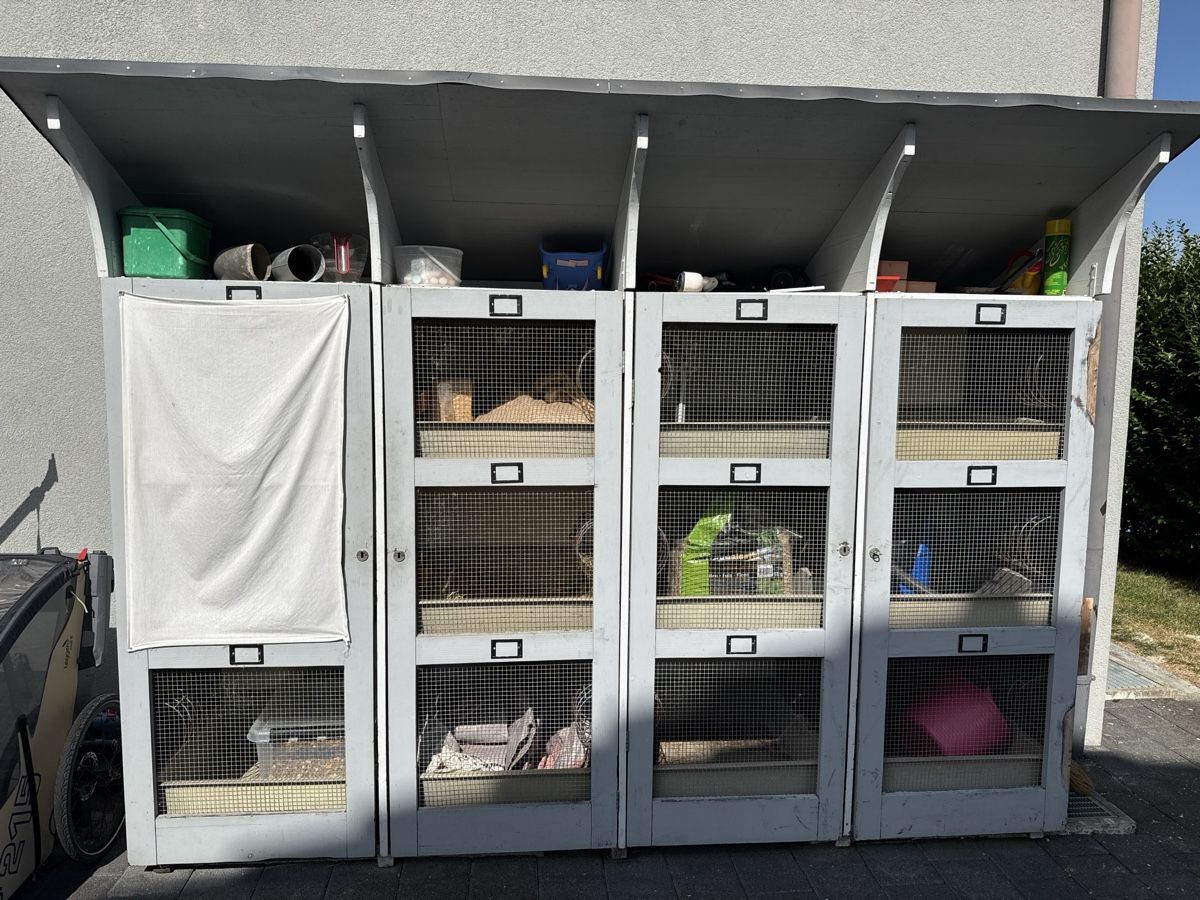 Cages, transport & sécurité: Kleintierstall mit 12 Fächern – D'occasion à Rothrist par sabrinao