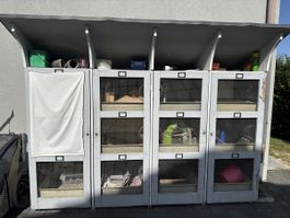 Kleintierstall mit 12 Fächern