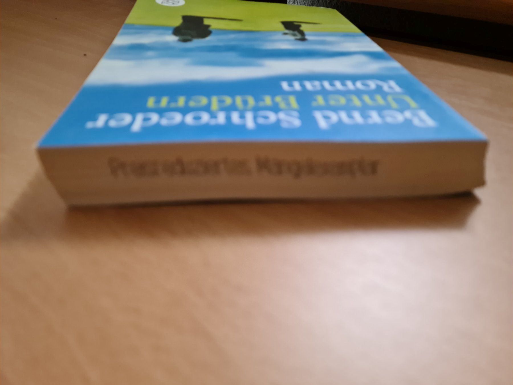 Libri: Unter Brüdern – Usato da Erstfeld venduto da Mario_boe0 2