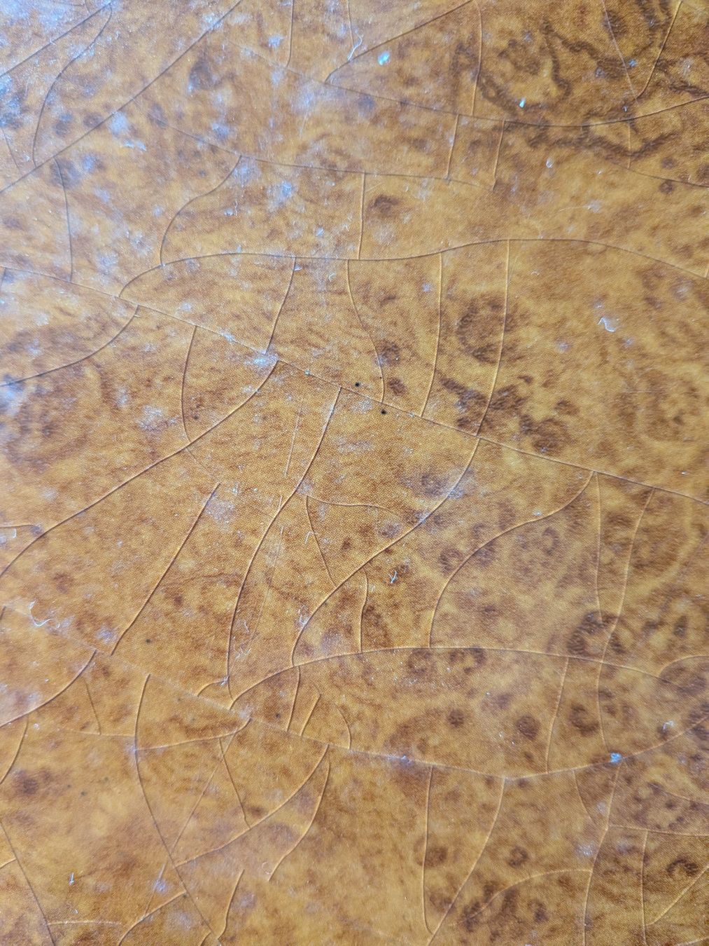 Humidificateurs: Humidor – D'occasion à Dietikon par katjakev 5