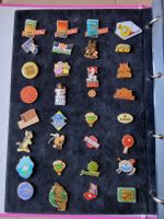 Collection de pins divers dans classeur