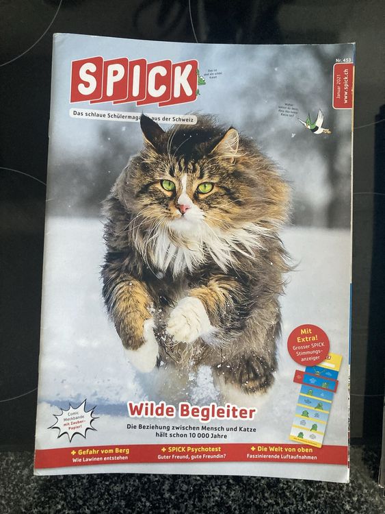 Spick Magazine Jg 2023 komplett | Kaufen auf Ricardo