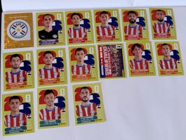 Panini WM 2026 - Paraguay Set 15 Stk inkl Wappen & Teambild