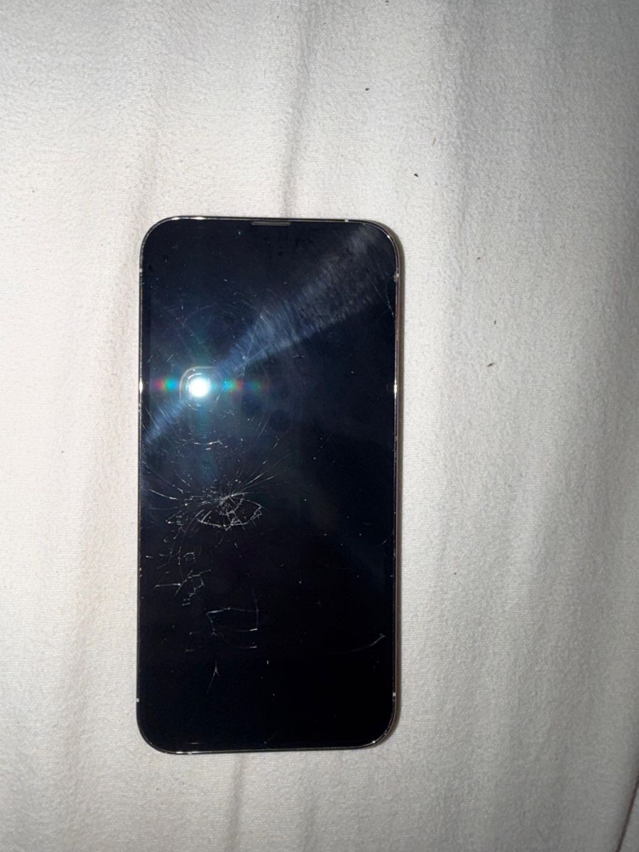 Apple Portables: Apple iPhone 13 Pro Max 256 GB Silber Technisch einwandfrei – D'occasion à Kloten par techni 2