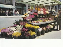 San Francisco, Flower Stands, 1960