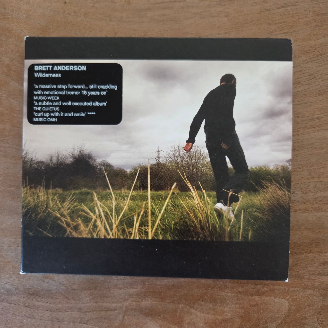 CD: Brett Anderson (Suede) - Wilderness - CD – Usato da Olten venduto da clayrout