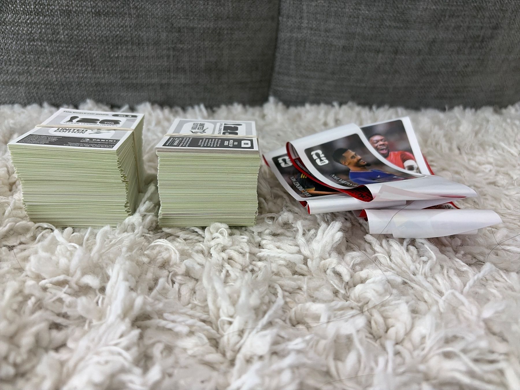 Panini Carte collezionabili: 400 Panini WM 2026 Sticker – Nuovo (secondo la descrizione) da Zürich venduto da edelproben 1