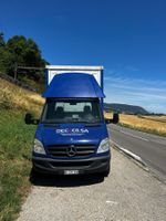 Mercedes-Benz 515 CDI + remorque