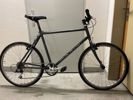 Marin Bear Valley Custom