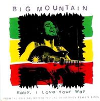Big Mountain LOVE YOUR WAY Reggae SCD