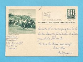 Aarau - Pferderennen - Postkarte von 1962