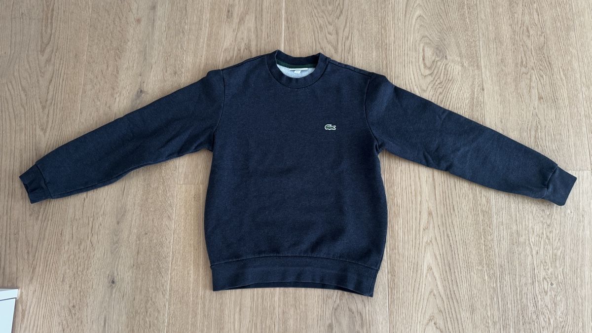 Lacoste Maglioni & Felpe: Lacoste Pullover Klassisch in Schiefergrau – Usato da Entlebuch venduto da Dapodo