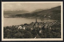 Richterswil, Ortsansicht aus der Vogelsc