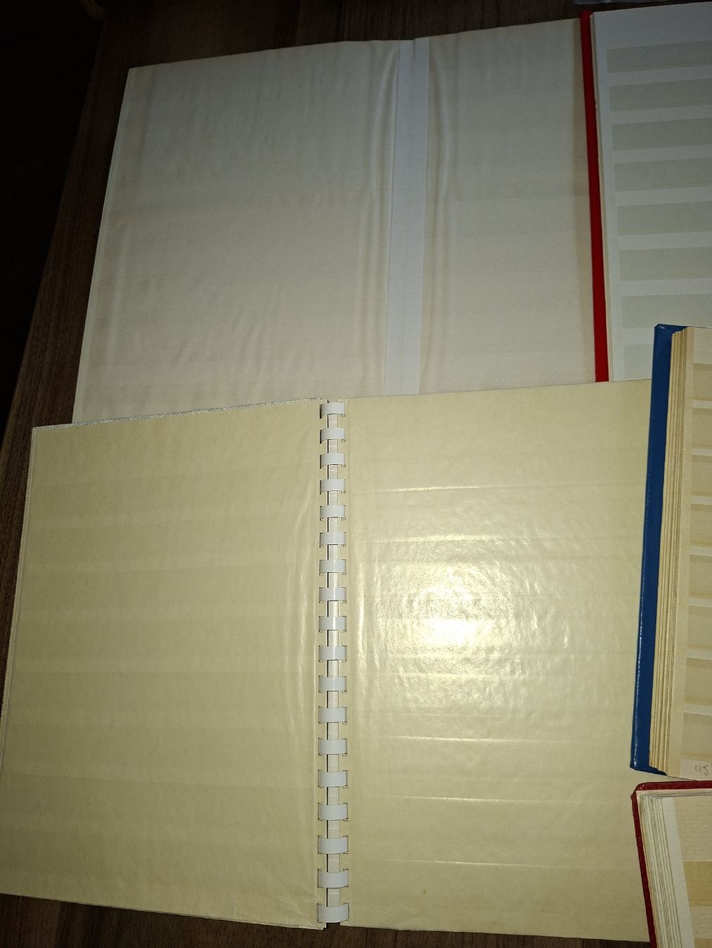Album: 10 Leere Briefmarken Alben – Usato da Balgach venduto da SIMEON27 2