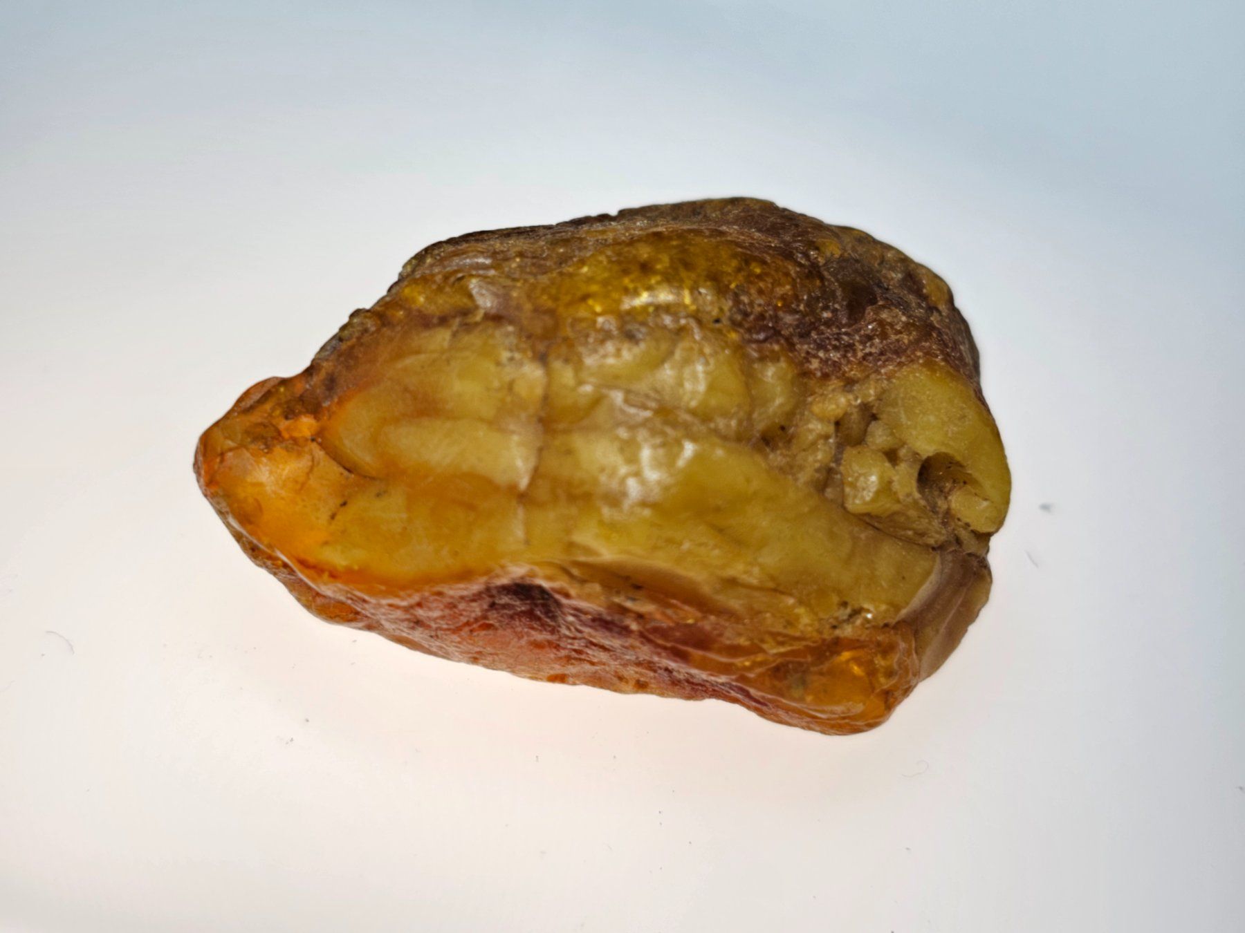 Minerali & Pietre curative: 9,7 gr Rohbernstein echt Roh Bernstein baltisch butterscotch – Nuovo (secondo la descrizione) da Riedt b. Erlen venduto da Gottestraene 6