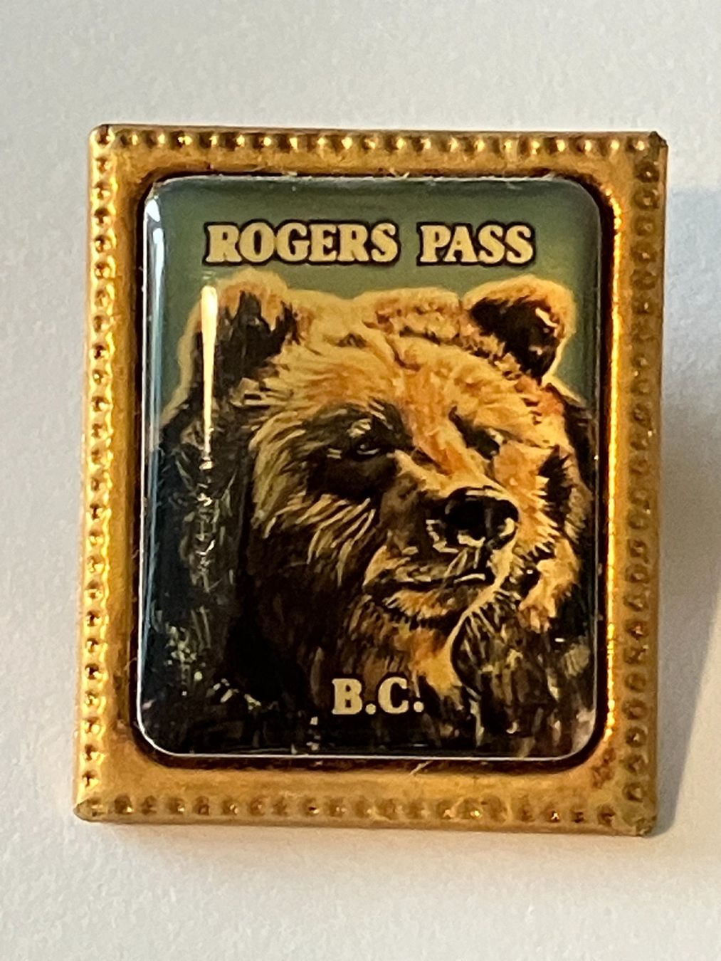 Placchette & Badge: 1 Pin Rogers Pass B.C. – Usato da Basel venduto da djwwpp