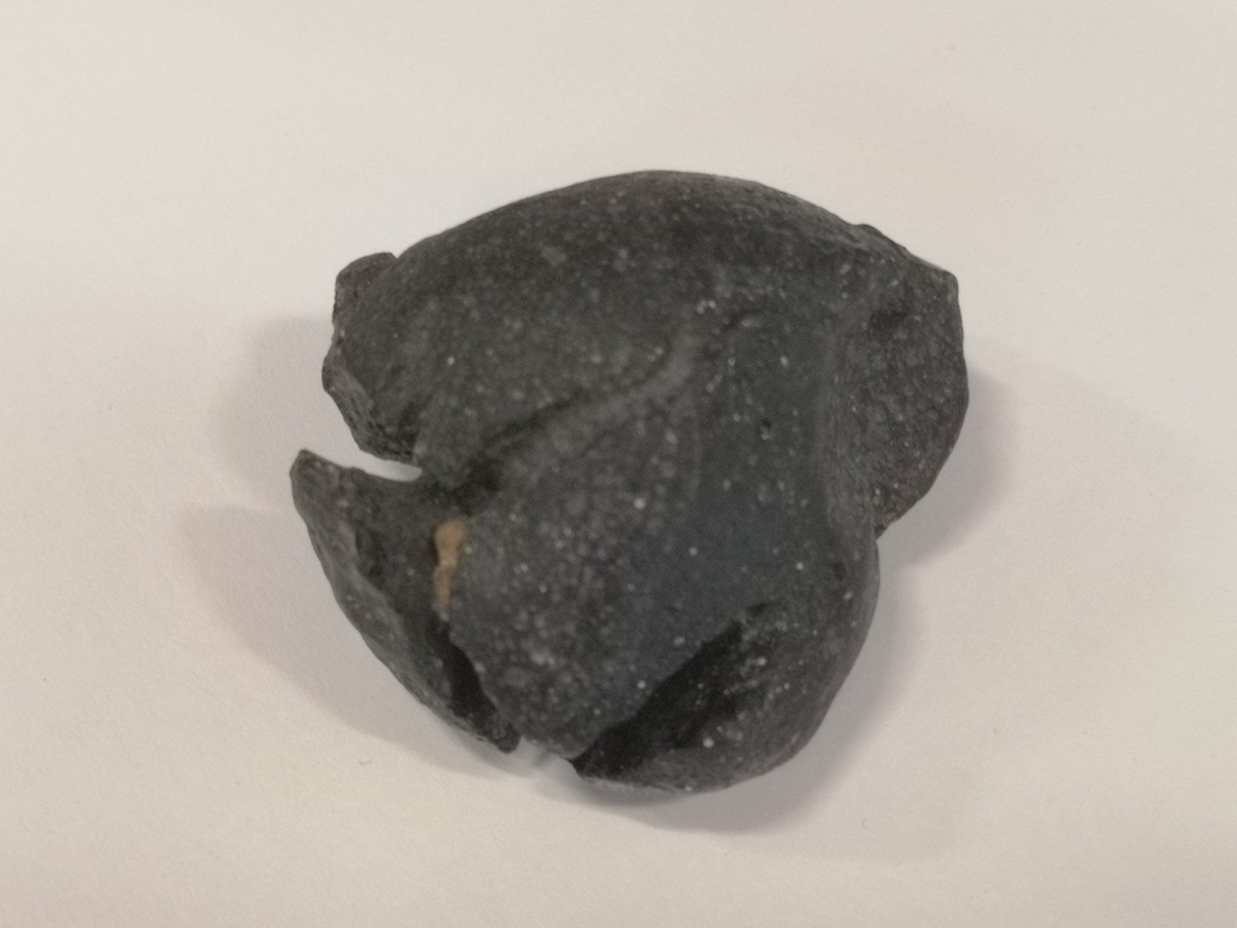 Minerali & Pietre curative: Tektit Indochinit Einschlag Meteorit 75g Meteoriteneinschlag – Usato da Kloten venduto da Euroasia
