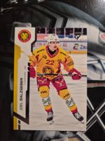 Joel Salzgeber SCL Tigers Sportzoo 2024/25