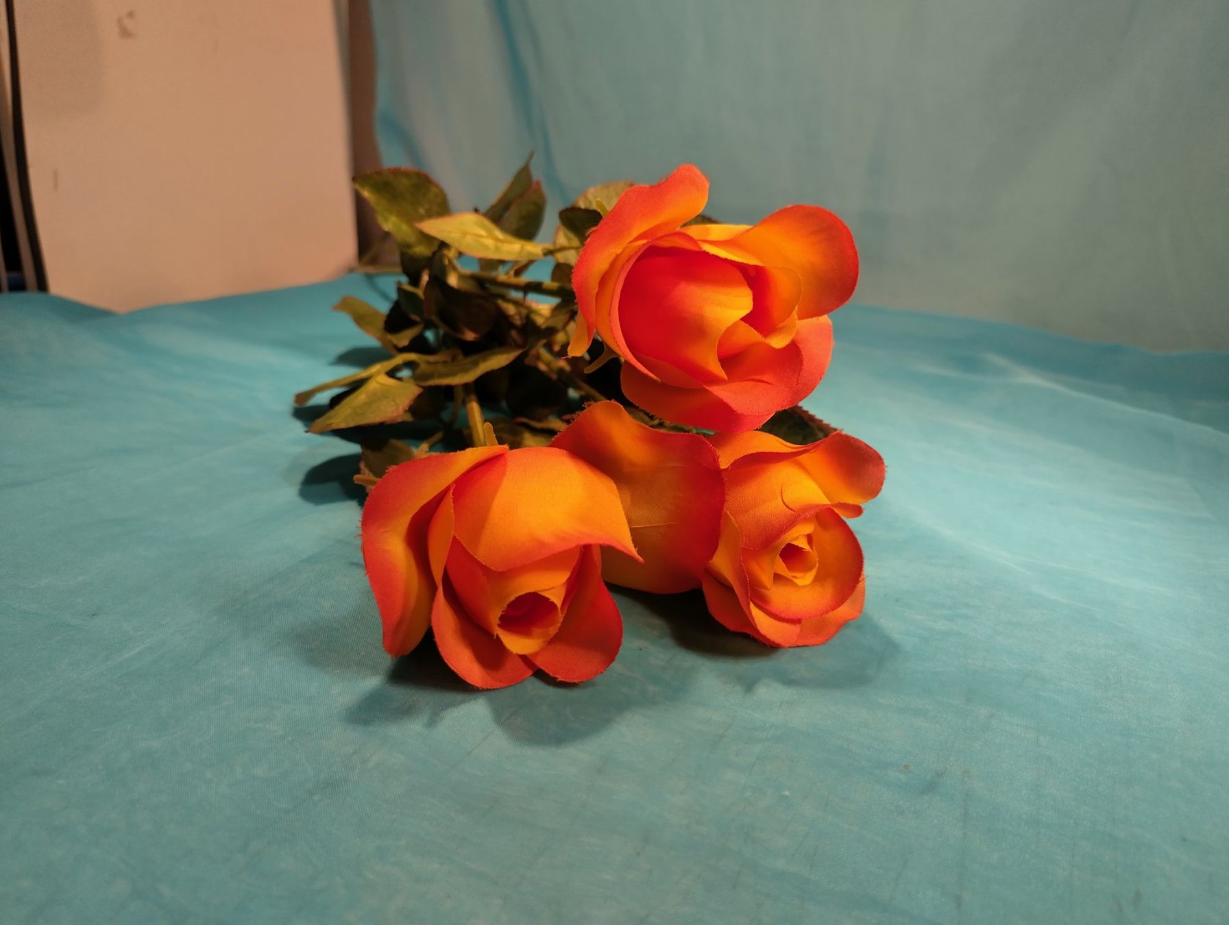 Pflanzen & Samen: 3 Rosen, orange-gelb, L: 70cm – Neu (gemäss Beschreibung) aus Bellach von JingleCherry