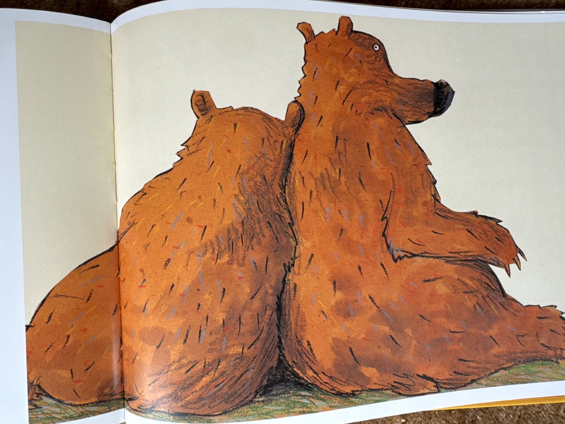 Bücher: Wolf Erlbruch - Das Bãrenwunder – Gebraucht aus Aarau von Kilauea 6