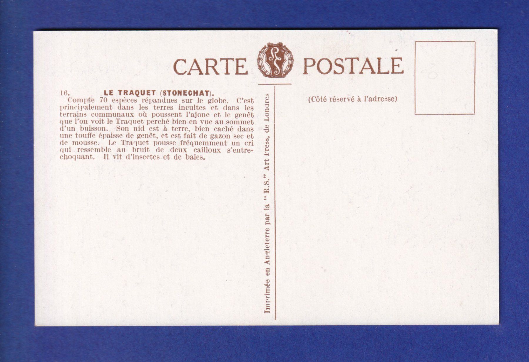 Cartes postales: OISEAU - Traquet – D'occasion à Pully par nicecards-shop 1