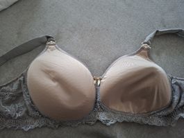 Still BH Cup E Beige Grau Spitze