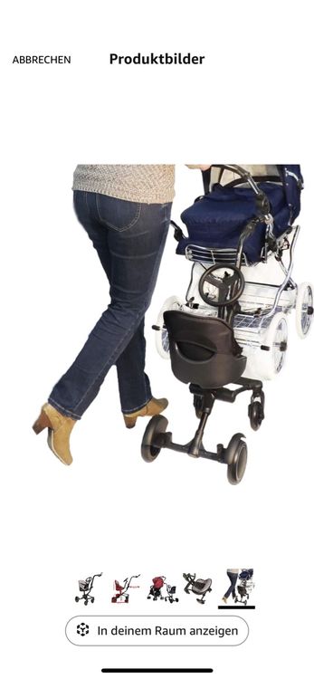 Eichhorn Uptown Rider 4