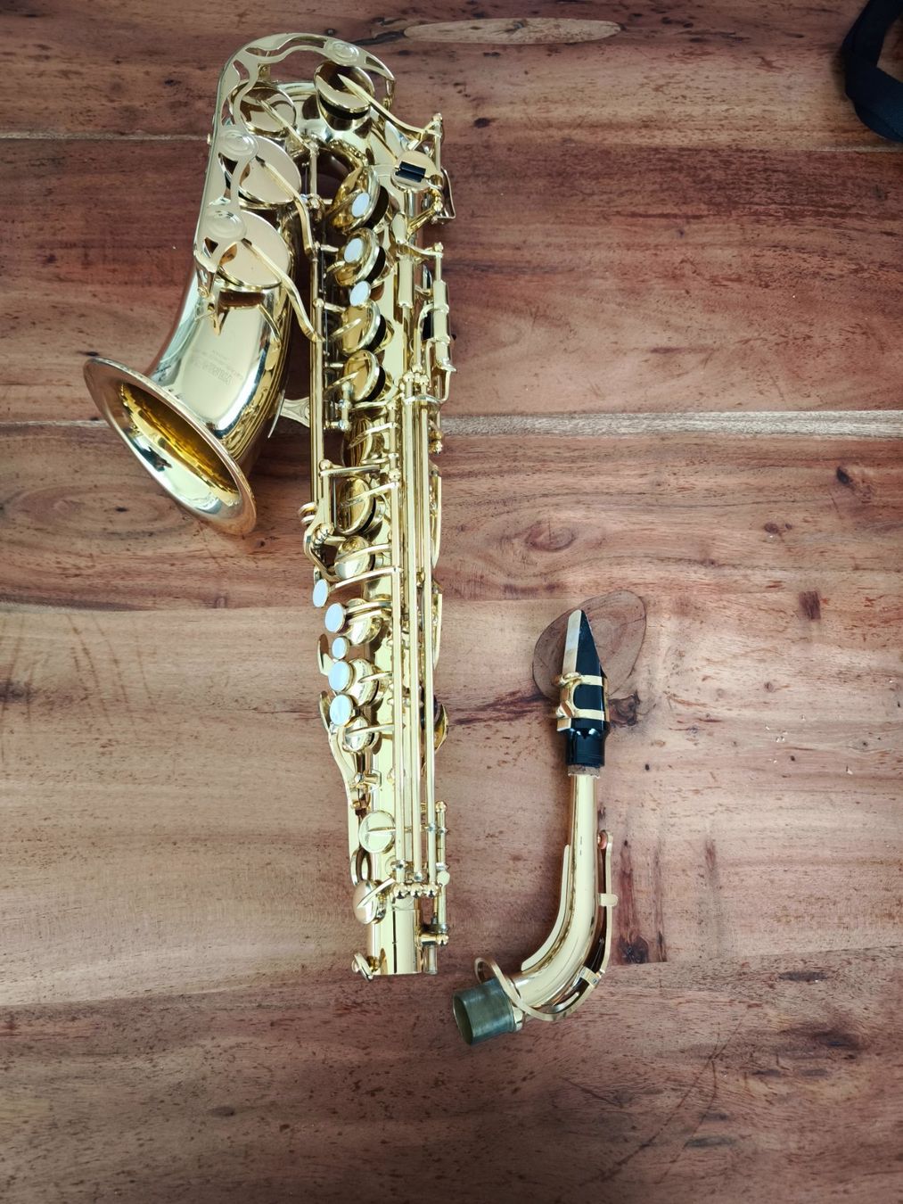 Strumenti musicali: Saxophon – Usato da Tübach venduto da shenzu