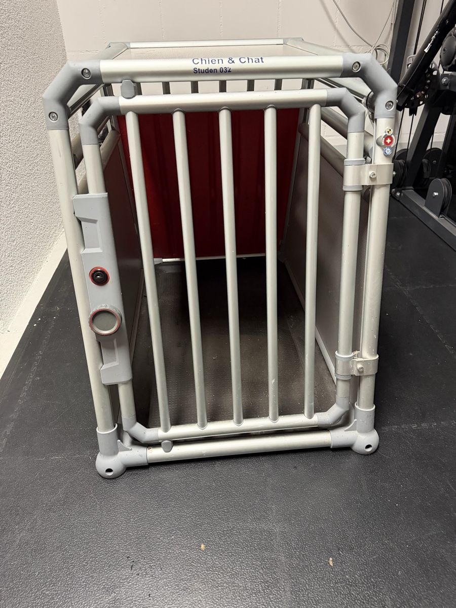 Gabbie, trasporto & Sicurezza: Hundetransportbox – Usato da Busswil BE venduto da Leuzmo
