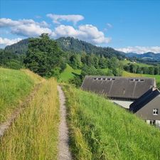 Profile image of freundlicher_Typ
