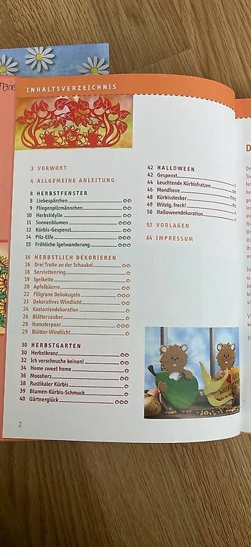 Libri: Bastelbücher – Usato da Oberwil BL venduto da _vanillia_ 3