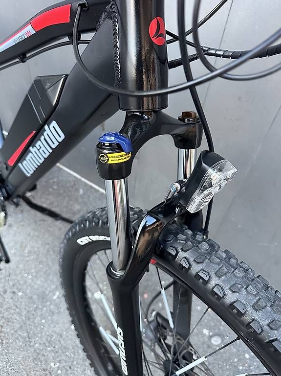 Biciclette: E-bike MTB Lombardo 27.5  – Usato da Quartino venduto da DiloUsato 7