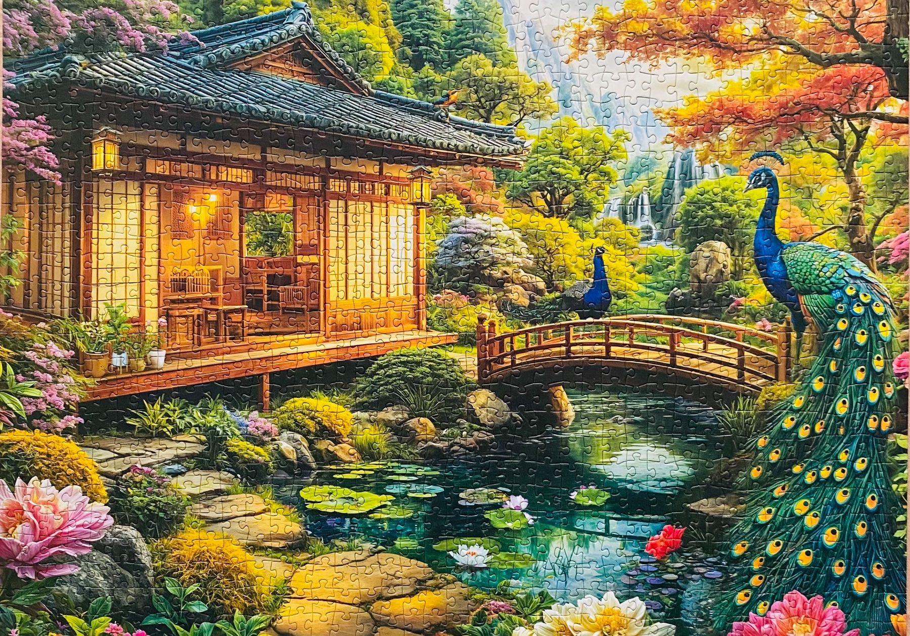 Puzzle: Puzzle 1000 Teile Peacock Manor – Usato da Hombrechtikon venduto da sabibu 1