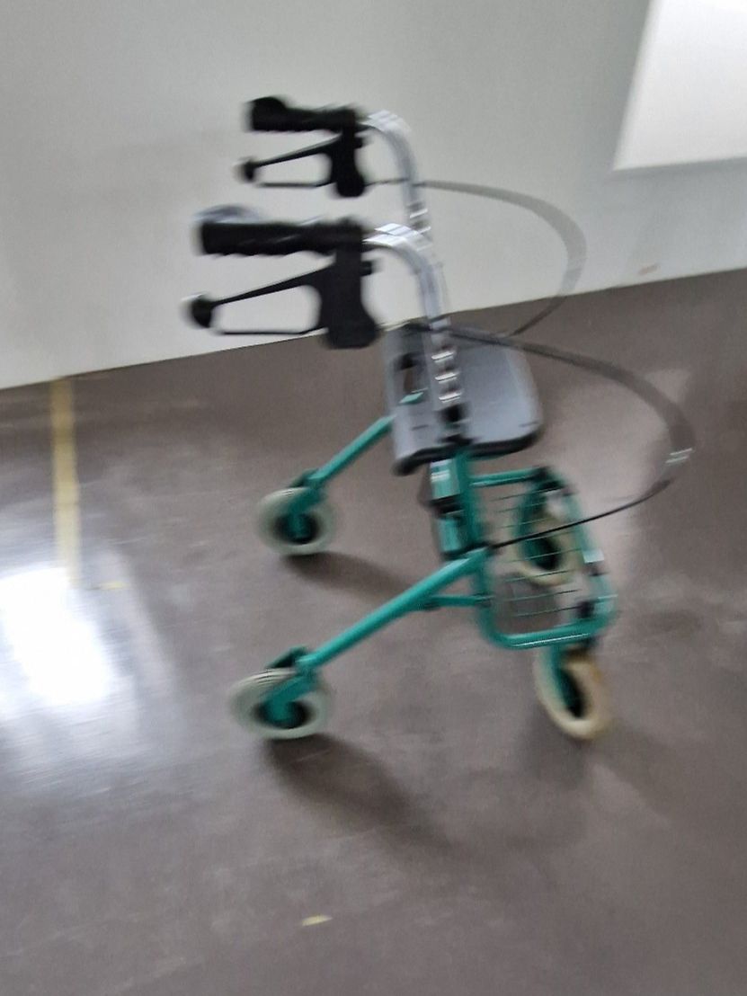 Ausili per la deambulazione: Rollator Farbe Grün Nr. 1 – Usato da Niederbipp venduto da Trude04 2