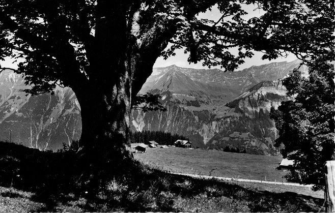 Cartes postales: Axalp ob BRIENZ – D'occasion à Jona par philajona