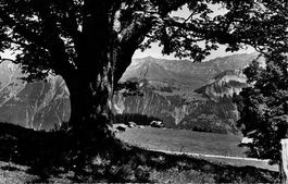 Axalp ob BRIENZ